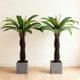 Artificial Green Plant Bird's Nest Tree Potted Plant Indoor Balcony Floor Decoration Hotel Window Display Ornament Bird's Nest Fern Fake Tree