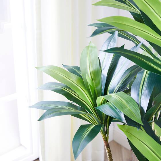 Artificial Plant Brazilian Wood Indoor Living Room Decoration Large Floor-Standing Green Plant Tropical Fake Plant Artificial Green Plant Potted Plant