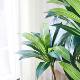Artificial Plant Brazilian Wood Indoor Living Room Decoration Large Floor-Standing Green Plant Tropical Fake Plant Artificial Green Plant Potted Plant