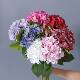 Artificial Flowers, New Hydrangeas, High-End Floral Arrangements, Home Furnishings, Wedding Hall Decorations, Artificial Flowers
