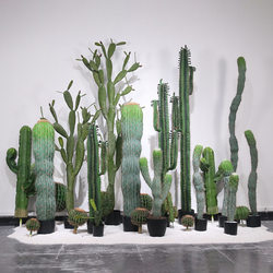 Artificial Cactus Potted Plant Fake Tropical Greenery Indoor Living Room Decoration Bonsai Window Display Cactus Ball Landscaping