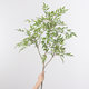 Artificial Bamboo Leaves, Fake Bamboo Leaves for Flower Arrangements, Decorative Partition Ornaments, Bamboo Props, Plastic Single Leaves, Fake Bamboo Shoots