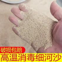 Drying sand fire-fighting high-temperature disinfection pure natural fine river sand childrens play sand sieved fine sand incense bottom sand river sand