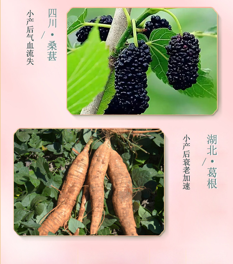 小产后小月子人流后调理补品小月子水子宫恶露营养品修复护理恢复 — 24