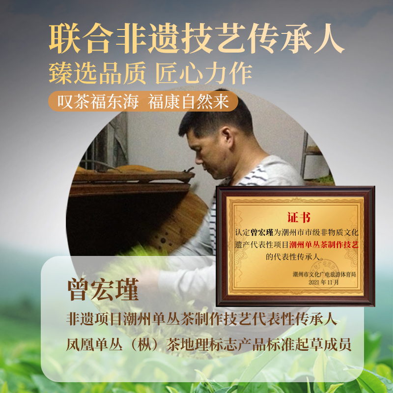 凤凰单枞的泡法，手把手教你正确姿势，小白也能泡出大师级茶香！