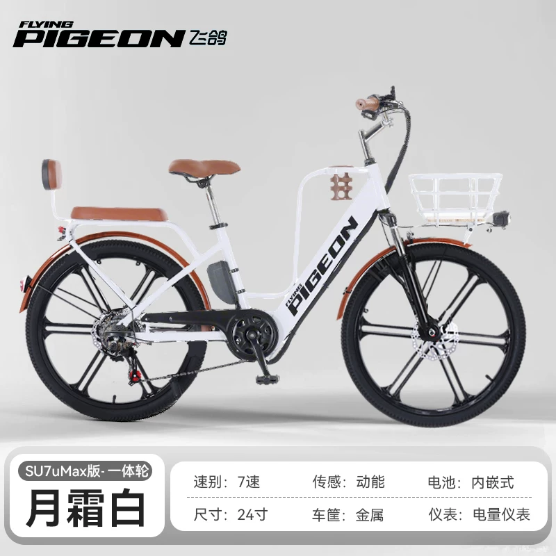 Electric bike
