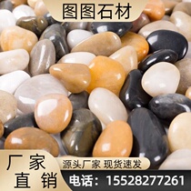 Jiangsu colored pebbles courtyard garden landscaping natural rain flower stone rain flower stone raw stone goose soft warm stone