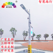 Bolbot Integrated Smart Street Lamp Multifunctional Smart Lamp Pole Wind and Solar Complementary Smart Street Lamp in Urban Park