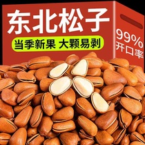 Northeastern open pine nuts shelled red pine nuts 500g large grain original snack bulk nut specialty