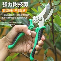 Flower pruning gardening scissors pruning shears labor-saving pruning branches fruit trees bamboo sticks garden flowers special floral scissors