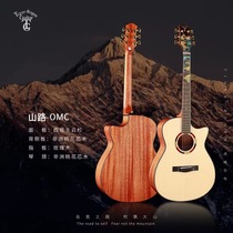 German Tiger Rogen mountain road folk veneer guitar electric box guitar beginner male and female student jita