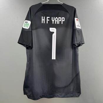 Hong Kong Team Jersey 2024 Asian Cup Player Version Hong Kong Men's Plain Team Football Uniform