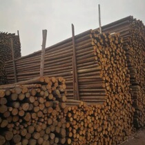 Log wood piles fir wood piles piling wood guardrails flood prevention river slope protection foundation wood piles support rods flood prevention wood piles