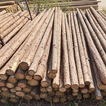 Fir wood piles pine wood piles larch river bank protection piles flood control wood piles landscaping support manufacturers