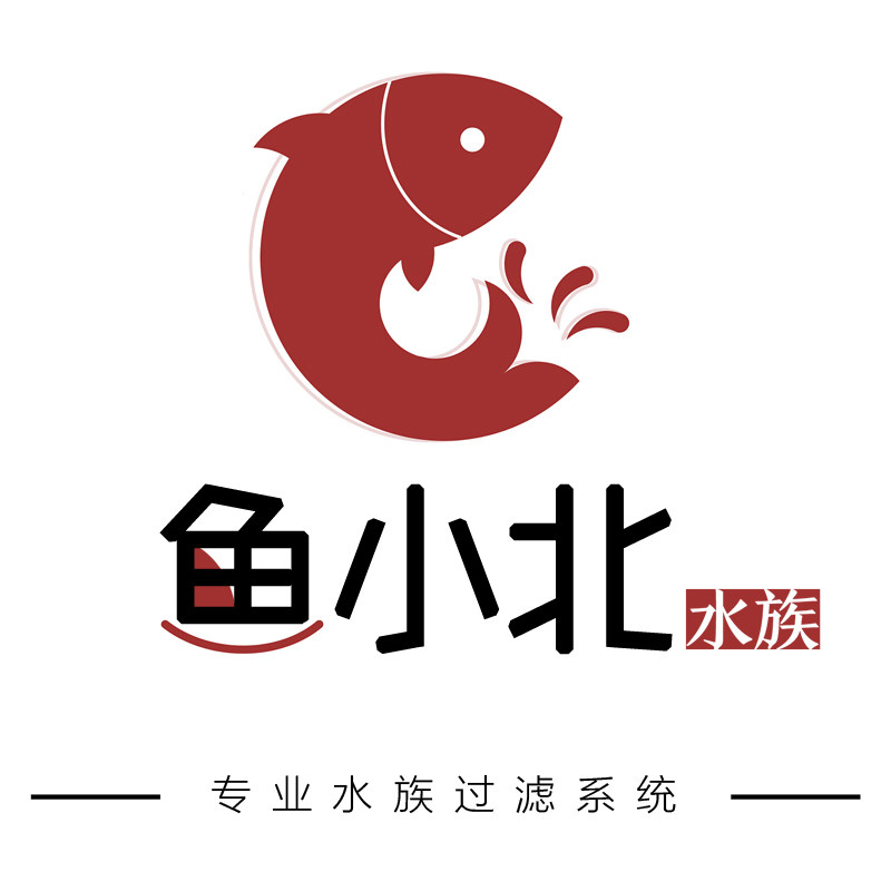 鱼小北水族