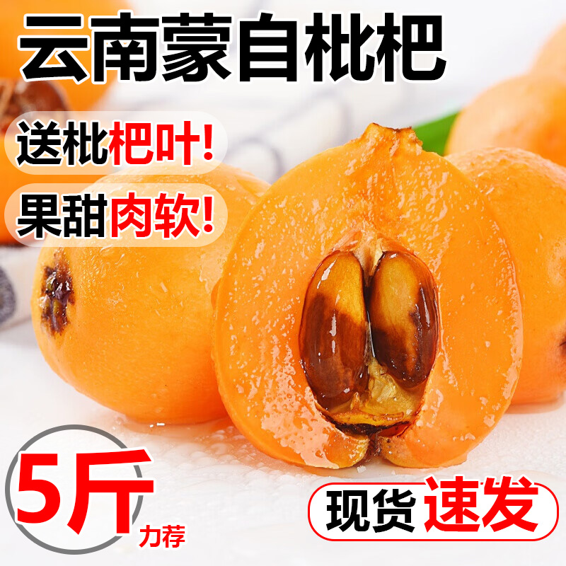 Yunnan Monself loquats fresh fruit fresh as season pregnant woman Fruit Changhong Pipa Batch of 5 catties of Big Fruit-Taobao