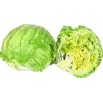 5 pounds of fresh lettuce burgers with Western fresh vegetable salad ingredients ball-shaped round lettuce