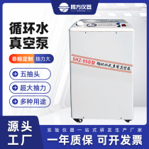 Vertical circulating water multi-purpose vacuum pump laboratory special five-tap filtration filtration pump SHZ-95B