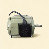 Motor 500FZY