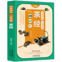 The Classic of Tea Classic Chinese Studies Tea Culture Knowledge Books Understanding Tea Tasting Tea Making Tea Popular Science Encyclopedia of Tea