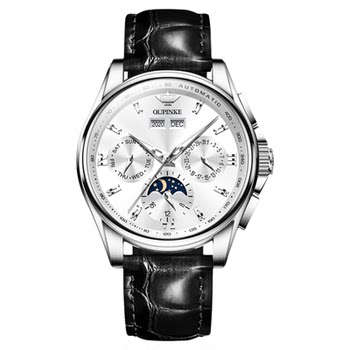 Swiss Genuine Patek Philippe ­ Feili Watch Men's Mechanical Watch Fully Automatic Fashionable Leather Waterproof Multi-Functional Men's Watch