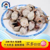 (Extra large) Wenzhou style cuttlefish mouth squid mouth fresh seafood aquatic cooking ingredients 500g