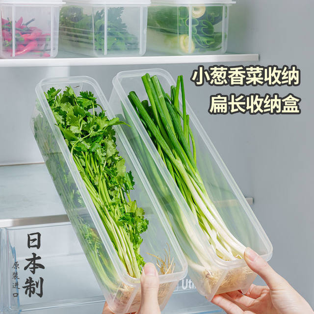 Special Offer Hot-Selling Food-Grade Storage Box for Green Onions, Cilantro, Ginger, Garlic, Noodles, and Eggs, Rectangular and Airtight