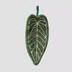 Plant Leaf Hand Towel Hanging Type for Kitchen, Bathroom, Portable Towel, Absorbent Cleaning Handkerchief