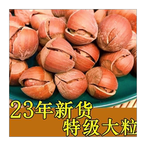 2024 new goods Northeast open-ended large hazelnuts thin-skinned original specialty snacks hand-peeled wild fried nuts large hazelnuts