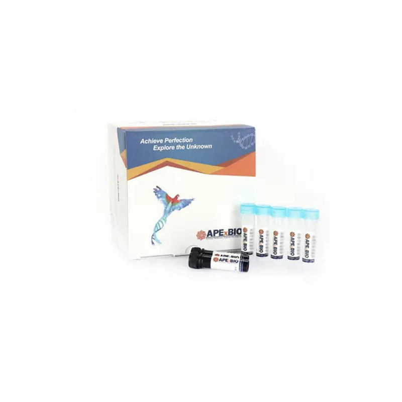 APExBIO K1076 EdU Imaging Kits (Cy5)EdU成像试剂盒(红色荧光）