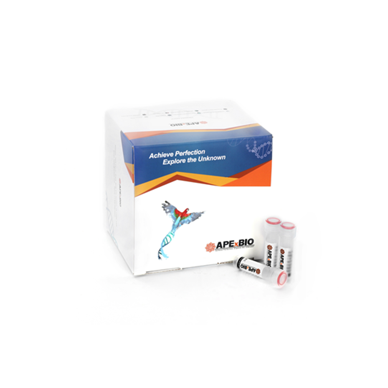 APExBIO K1175 EdU Imaging Kits (488)EdU成像试剂盒(绿色荧光）