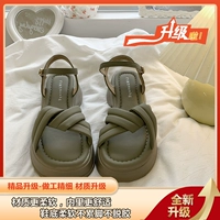 Grey [Boutique Upgrade Edition]