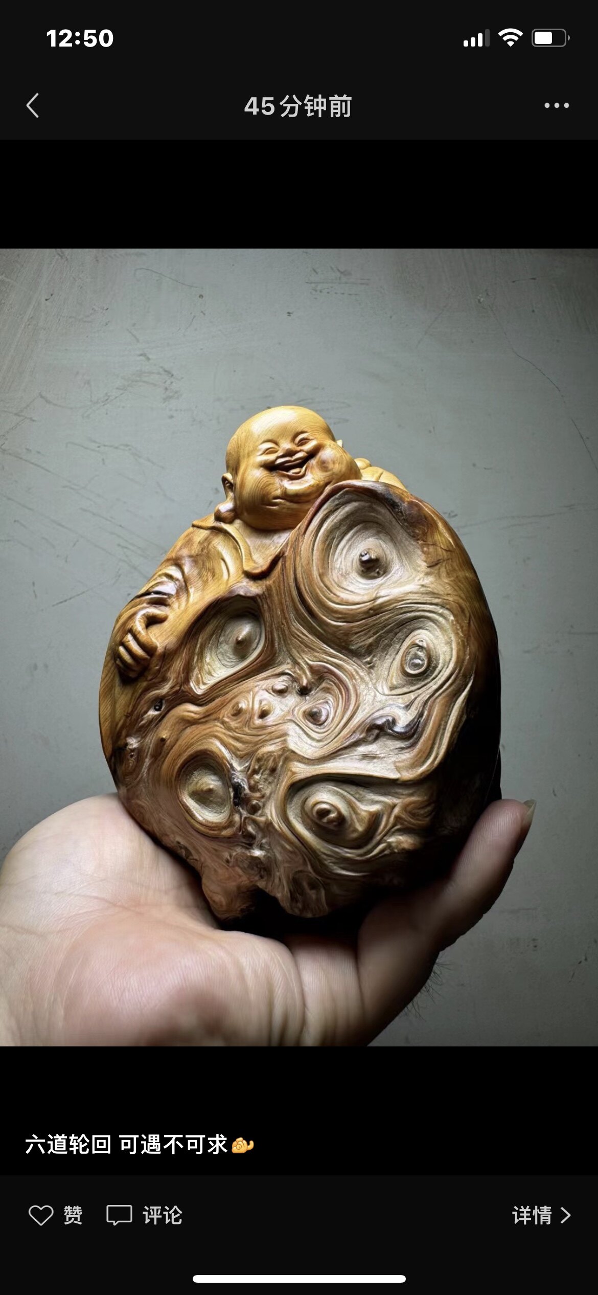 伯乐太行崖柏