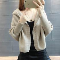 European and American 2024 spring and autumn new Korean style outer loose hooded sweater womens cardigan short jacket trendy