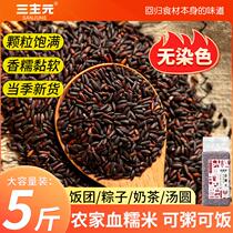 Northeast blood glutinous rice purple rice new rice authentic black glutinous rice farmhouse grains sticky rice balls special for making rice dumplings