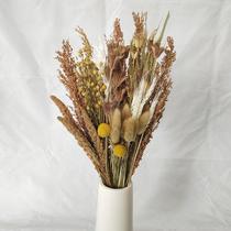 Harvest harvest dried flower bouquet real flowers natural air-dried sorghum wheat grains and oats mixed living room decoration ornaments
