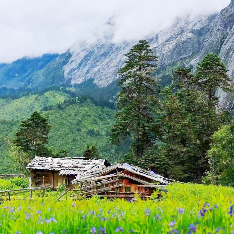 探寻香格里拉：纯玩团是旅行者的最佳选择吗？