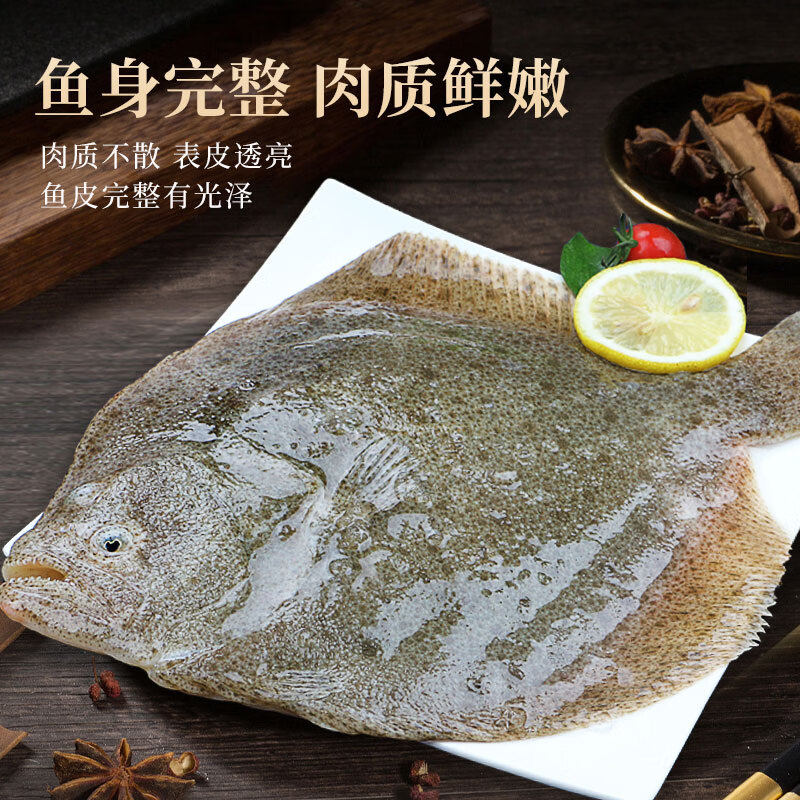 新鲜冷冻多宝鱼大菱鲆:揭秘那些不是鲽鱼、不是偏口鱼、不是比目鱼的海鲜真相!-比目鱼-淘宝百科网