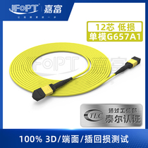 MPO-MPO 12-core single-mode low-loss fiber optic factory MPO multi-core connector G657A1 jumper