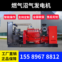 100 200 250 400kw high power gas biogas generator set all copper brushless silent box cattle farm