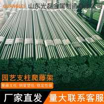 Plant bracket climbing frame plant clip plastic-coated steel pipe frame melon and fruit growing vegetable plastic-coated steel pipe support rod