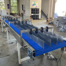 Manufacturer produces flat plastic mesh belt conveyor mesh mesh belt conveyor non-standard conveyor line customization
