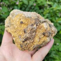 ginger stone ginger stone sand ginger stone ginger stone powder