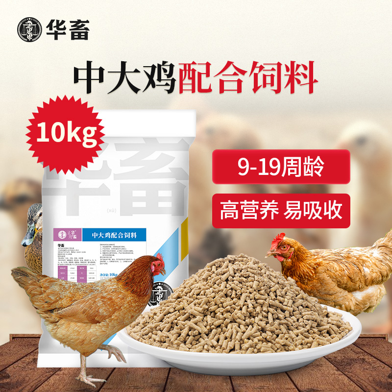 华畜正品大鸡饲料，芦丁鸡/雏鸡/产蛋鸡全阶段营养配方推荐