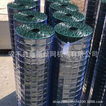 New product manufacturer supplies Dutch net fence for chicken breeding plastic-coated breeding enclosure fence orchard farm guardrail load