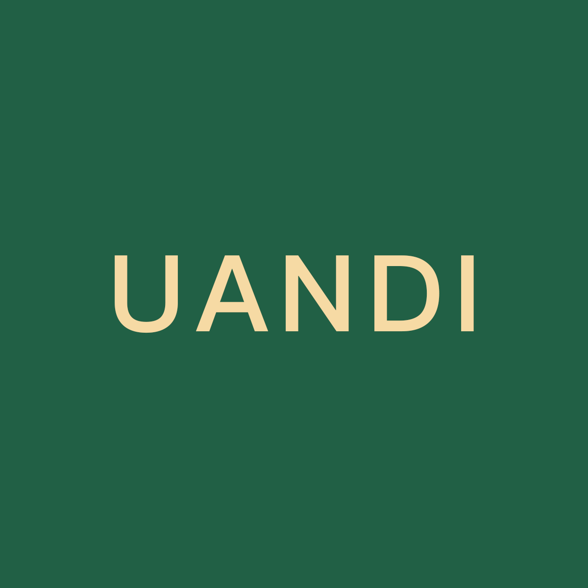 uandi旗舰店