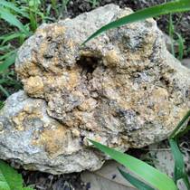 Ginger Stone Origin: Henan Ginger Stone Ginger Stone Blocks