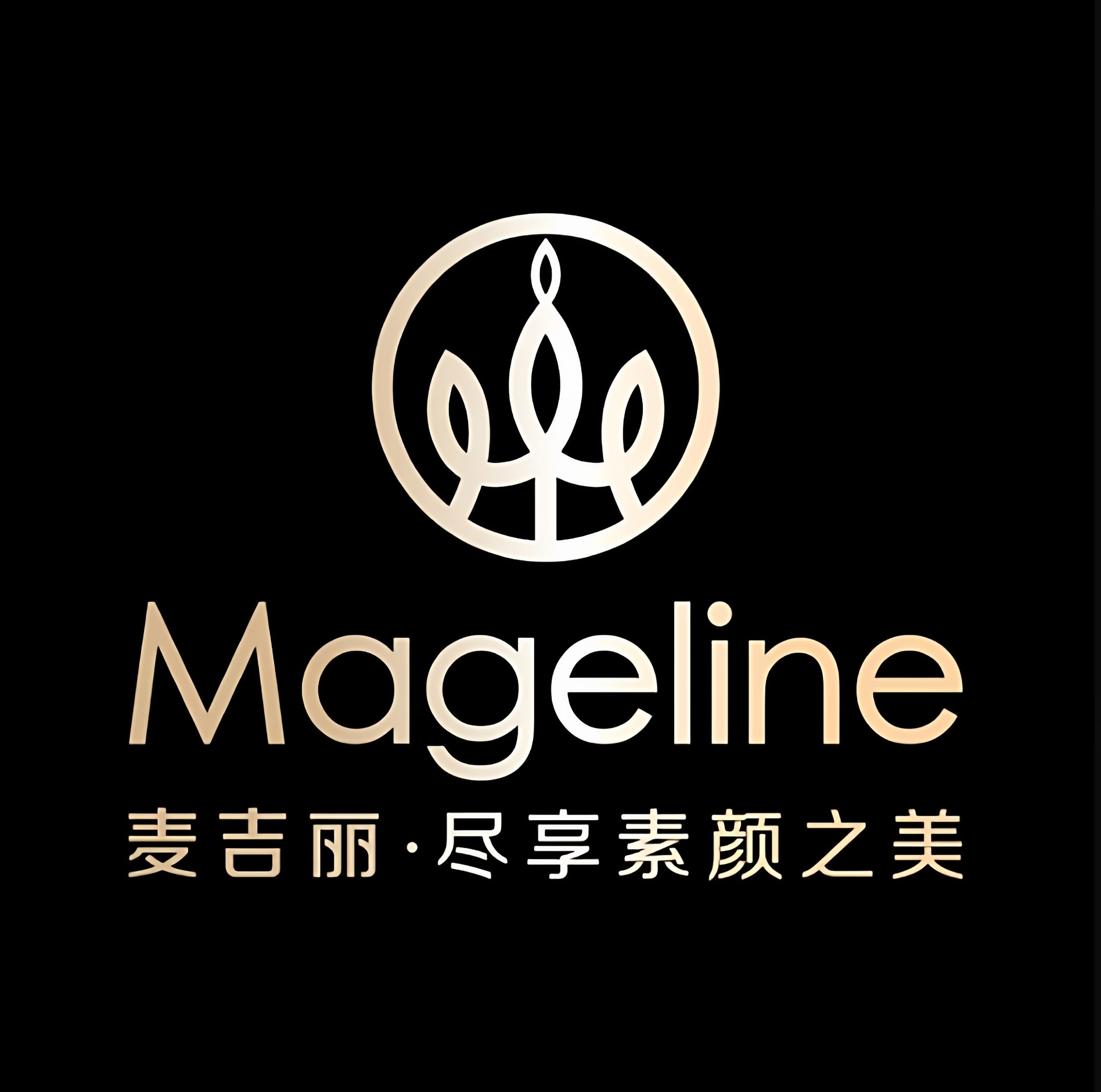 靓颜美妆专柜企业店