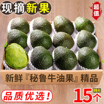 2024 Mexican imported avocado fresh fruit in season whole box of freshly picked avocados with large and delicate fruits