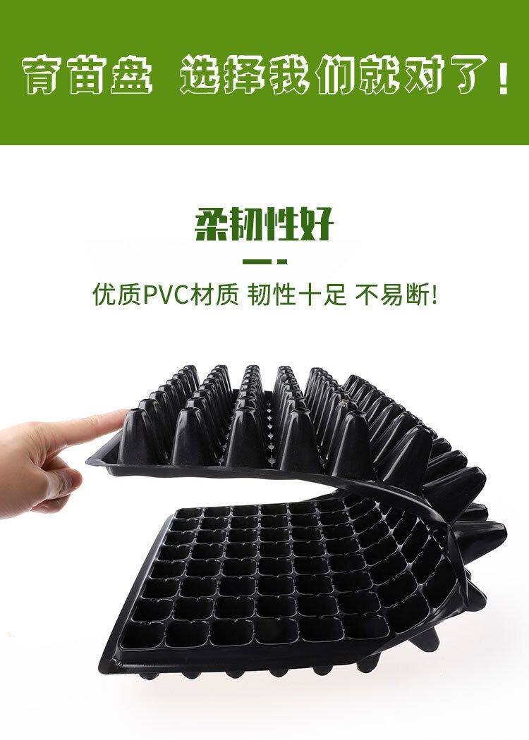 Рассада/питание None